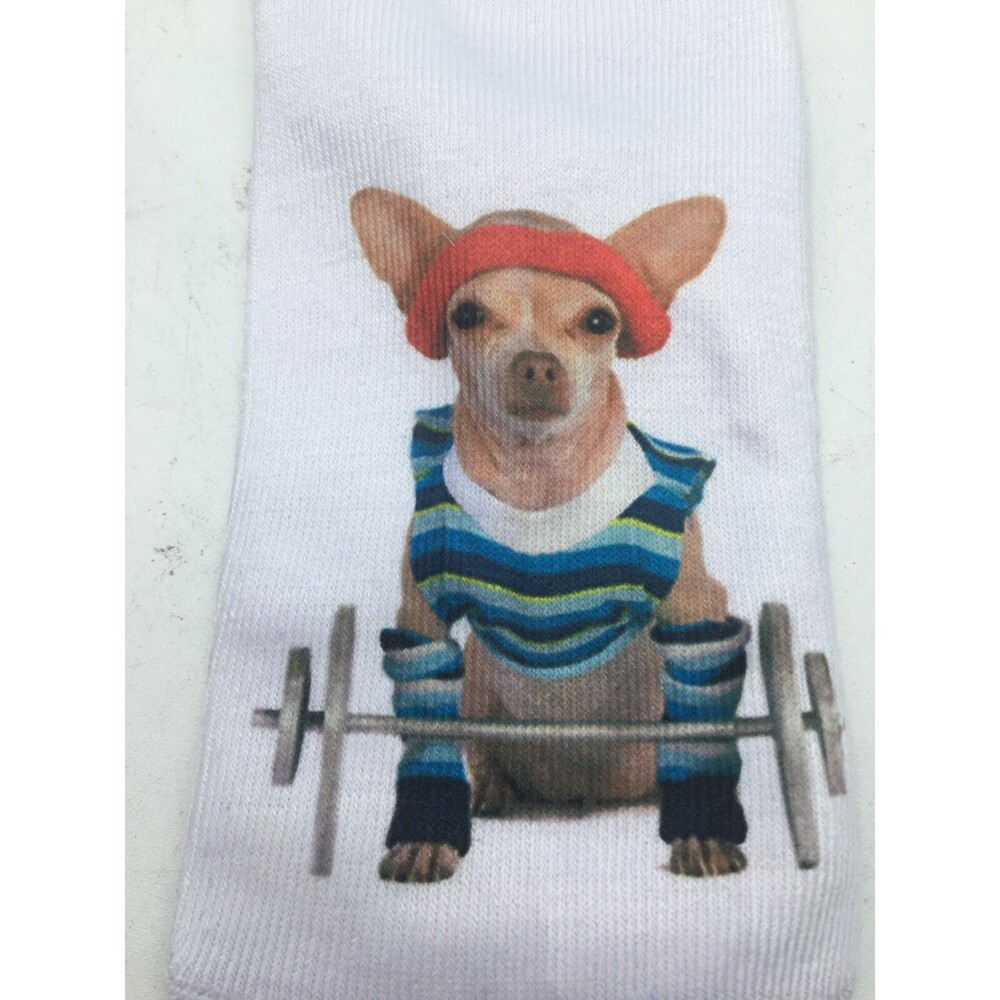 Girl Teen Socks Chihuahua Dog Weight Lifting Whimsical Read Size New Free Ship - Picture 4 of 5